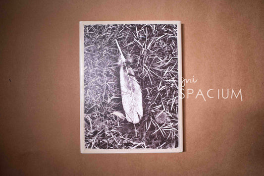 Goosewalk - Mi Spacium Design Studio - 攝影 Photography