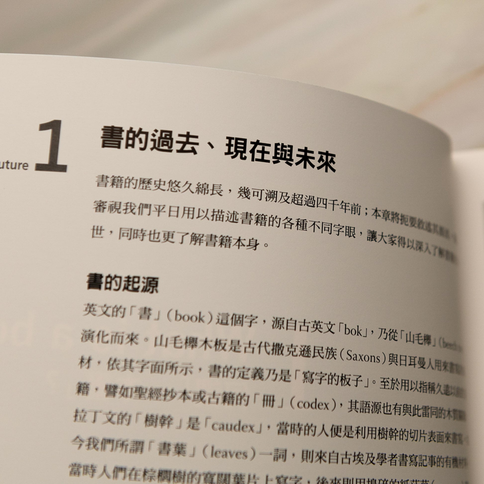 【新書】書設計【長銷15年經典版】：入行必備權威聖經，編輯、設計、印刷、風格全事典 - Mi Spacium Culture 藝跡文化 - Books