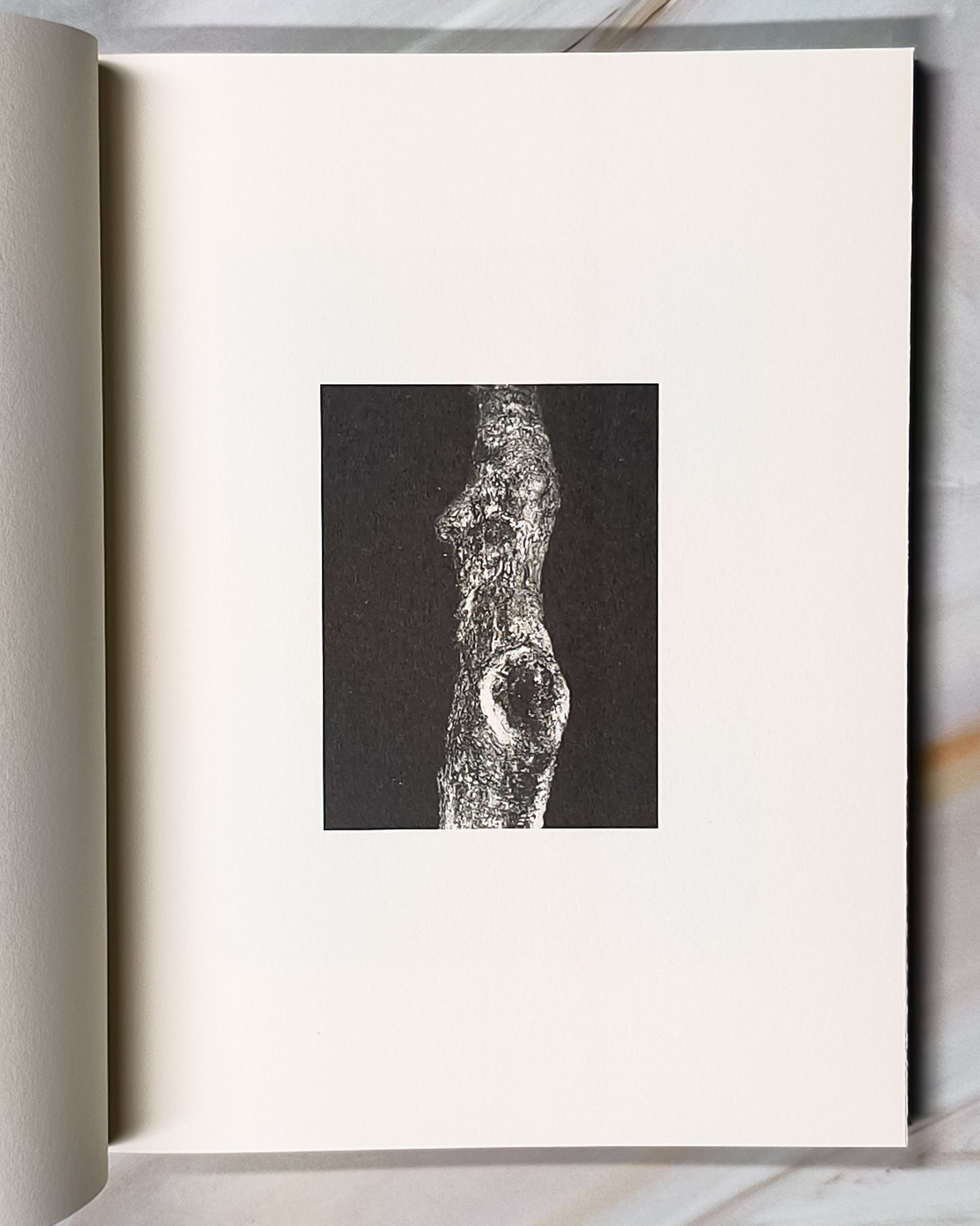 【新書】Nocturnal - Mi Spacium Culture 藝跡文化 - Books