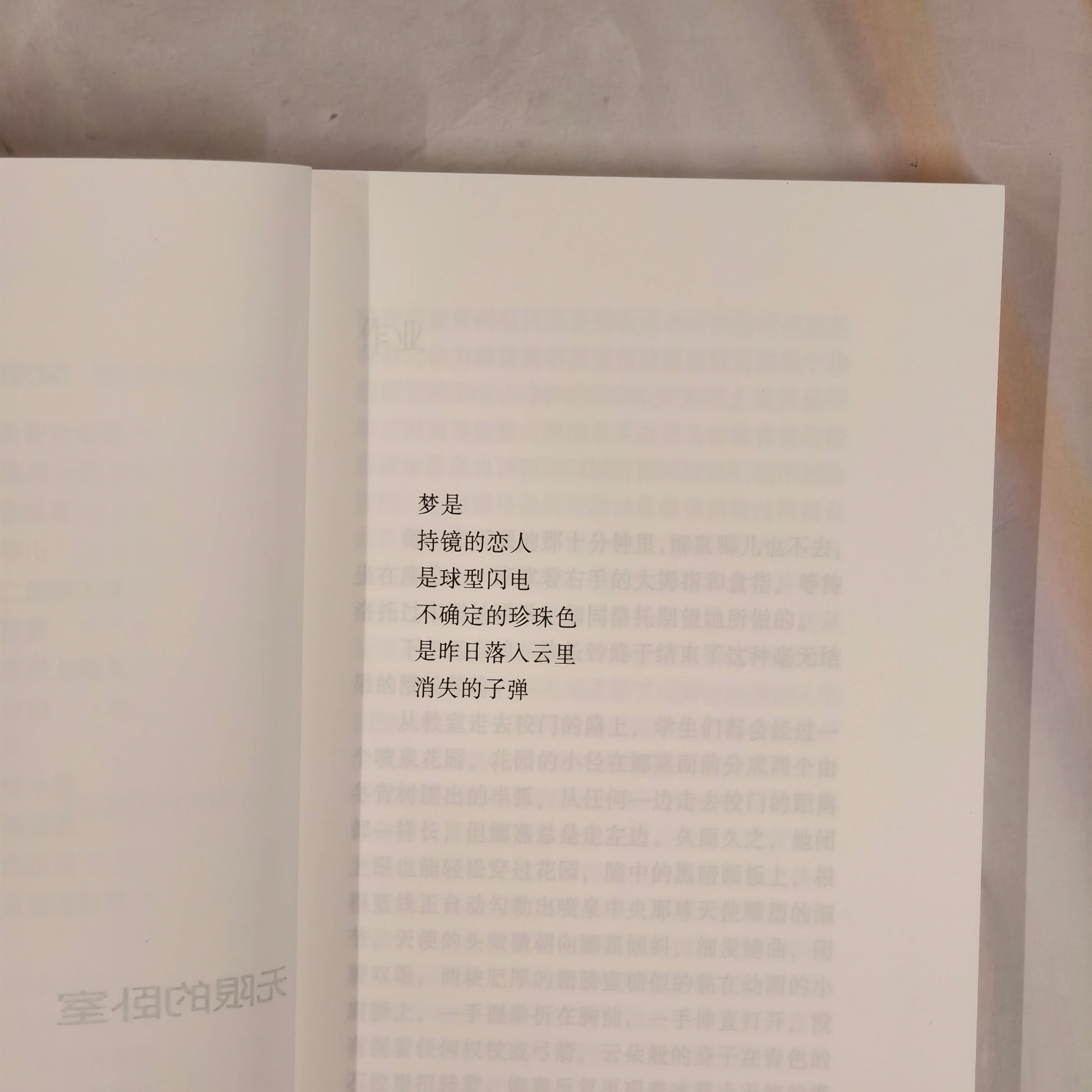 【新書】旅行者的欲望 (簡) - Mi Spacium Culture 藝跡文化 - Books