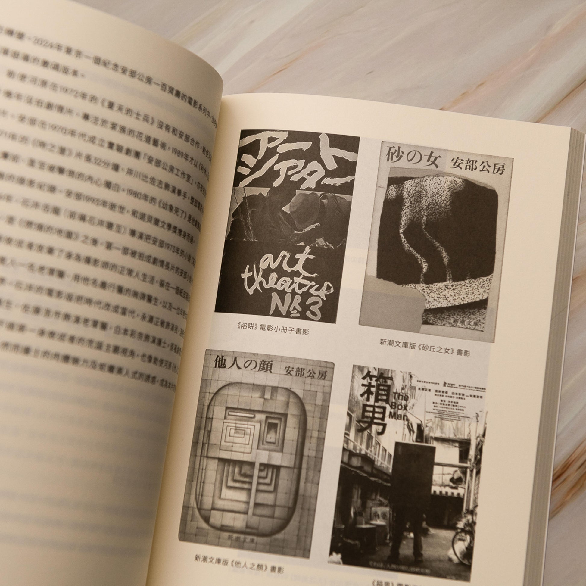 【新書】用日本電影讀日本文學：從夏目漱石到村上春樹（一書兩冊） - Mi Spacium Culture 藝跡文化 - Books