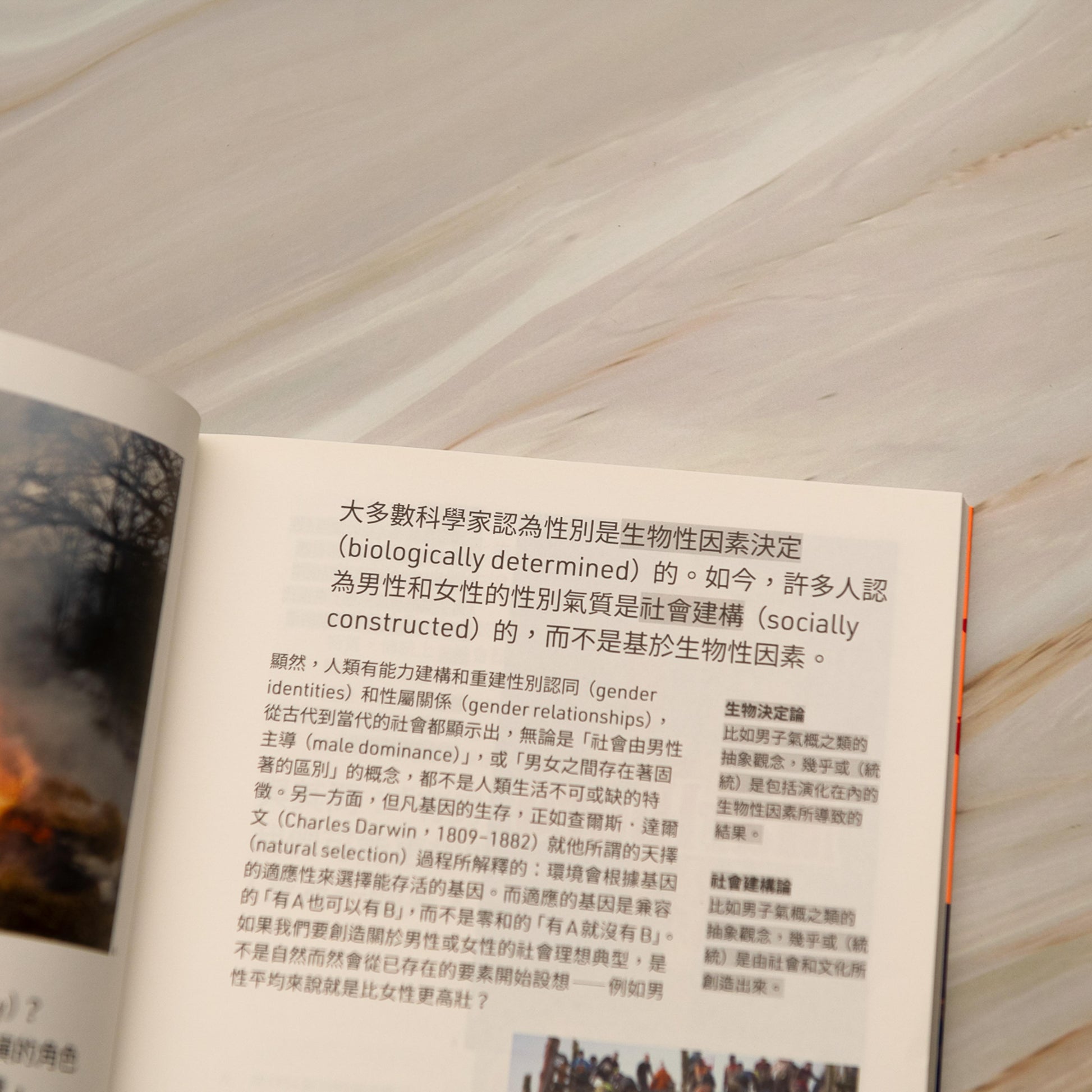 【新書】洋蔥式閱讀！當代關鍵議題系列：種族主義、暴力犯罪、人際關係崩壞源自男子氣概？陰柔氣質更適合現代男性？從歷史及社會文化看男子氣概如何戕害男性及性別平權 - Mi Spacium Culture 藝跡文化 - Books