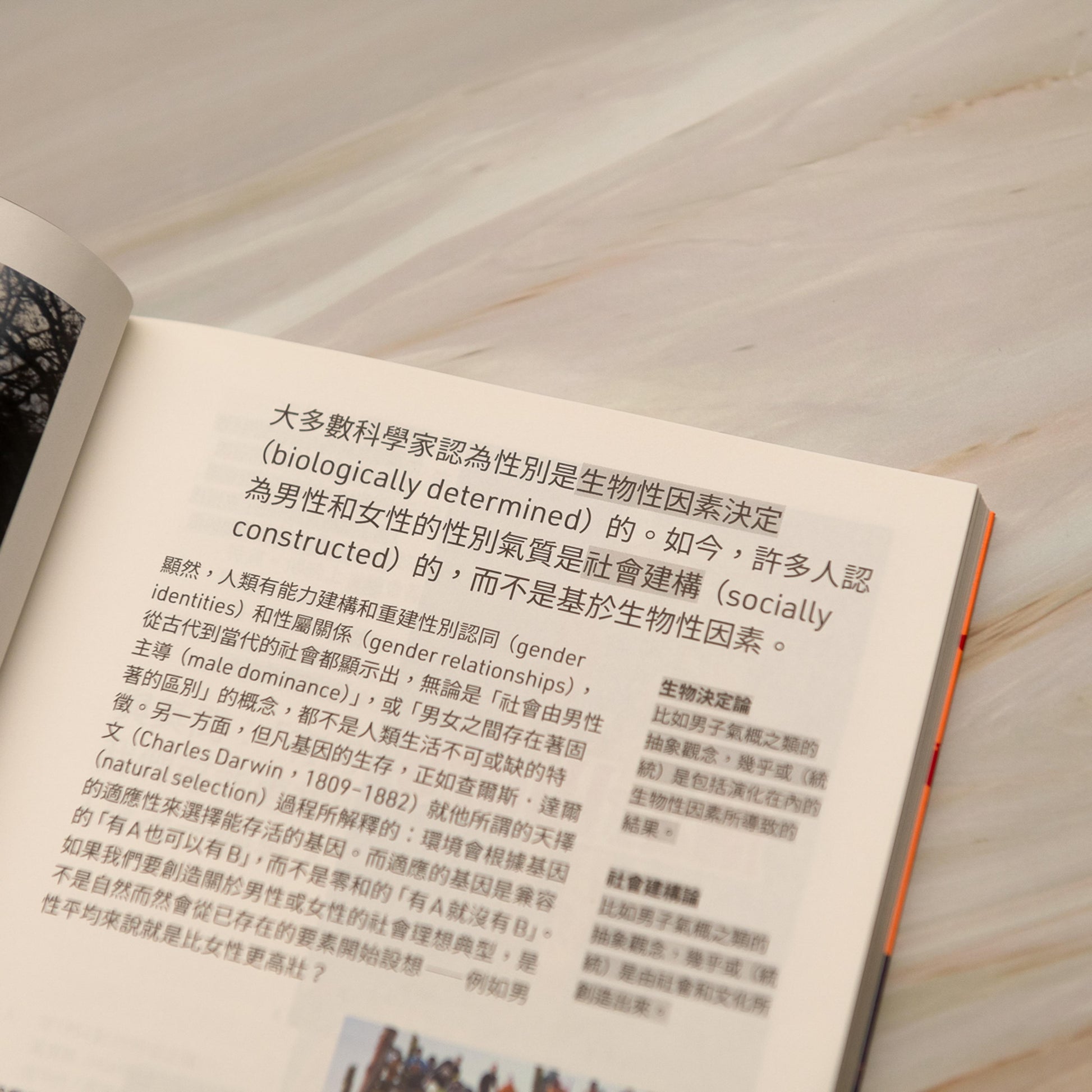 【新書】洋蔥式閱讀！當代關鍵議題系列：種族主義、暴力犯罪、人際關係崩壞源自男子氣概？陰柔氣質更適合現代男性？從歷史及社會文化看男子氣概如何戕害男性及性別平權 - Mi Spacium Culture 藝跡文化 - Books