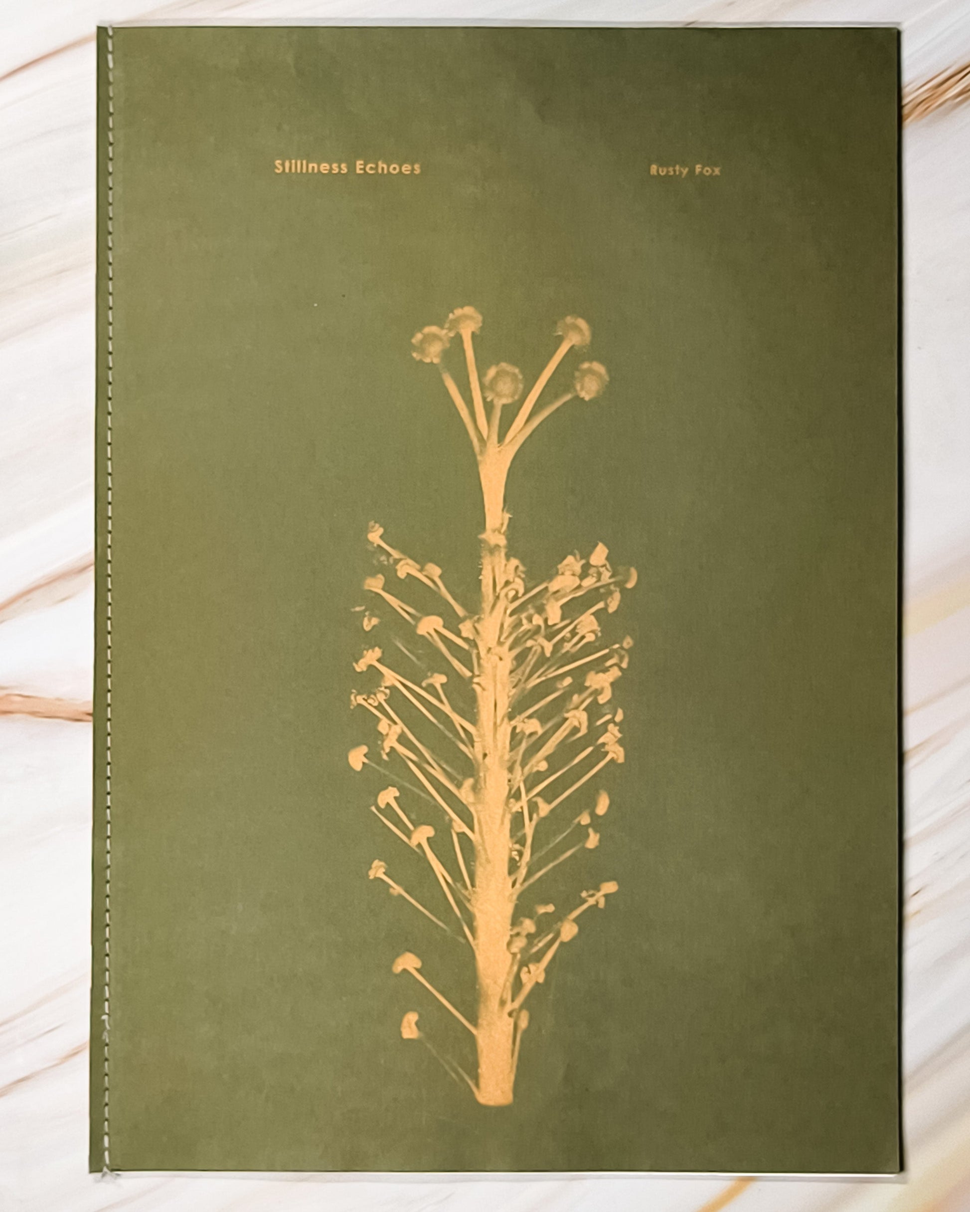 【新書】Stillness Echoes靜謐回響 - Mi Spacium Culture 藝跡文化 - Books
