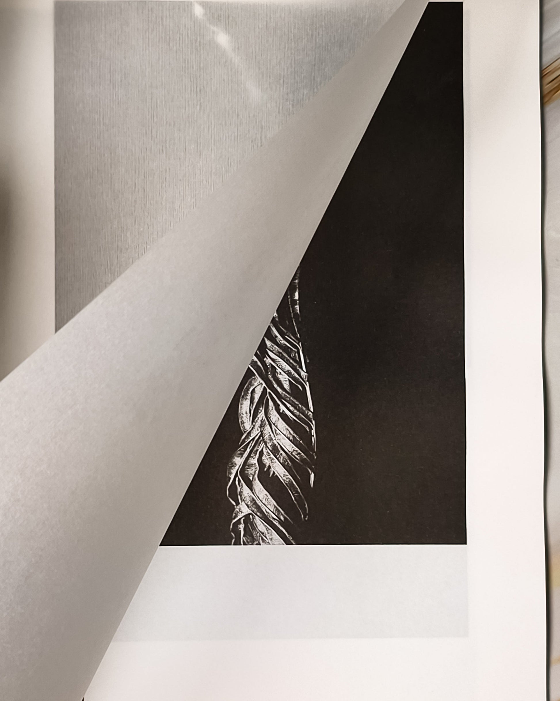 【新書】Stillness Echoes靜謐回響 - Mi Spacium Culture 藝跡文化 - Books