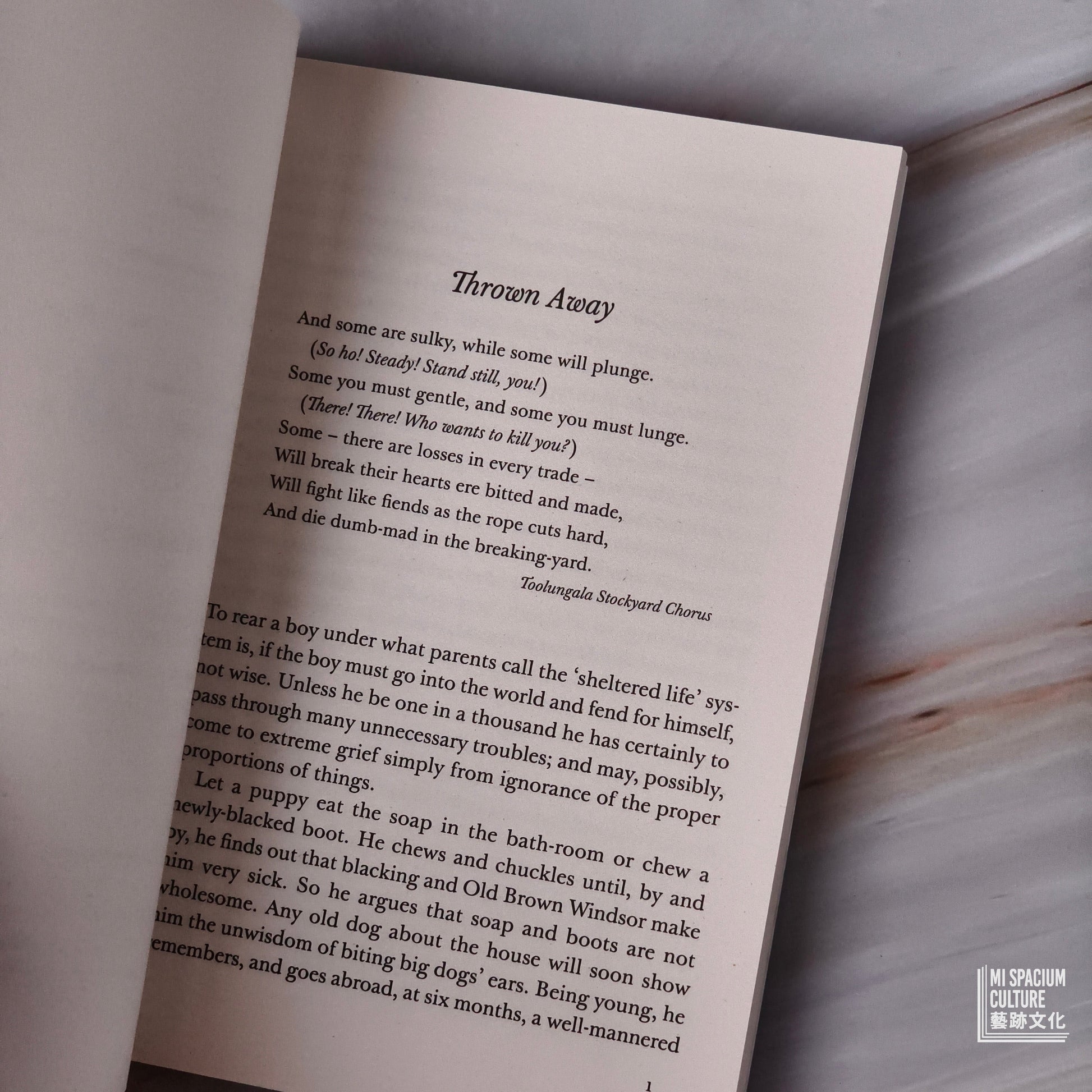 【新書】The Gate of the Hundred Sorrows (Penguin Little Black Classics) - Mi Spacium Culture 藝跡文化 - Books