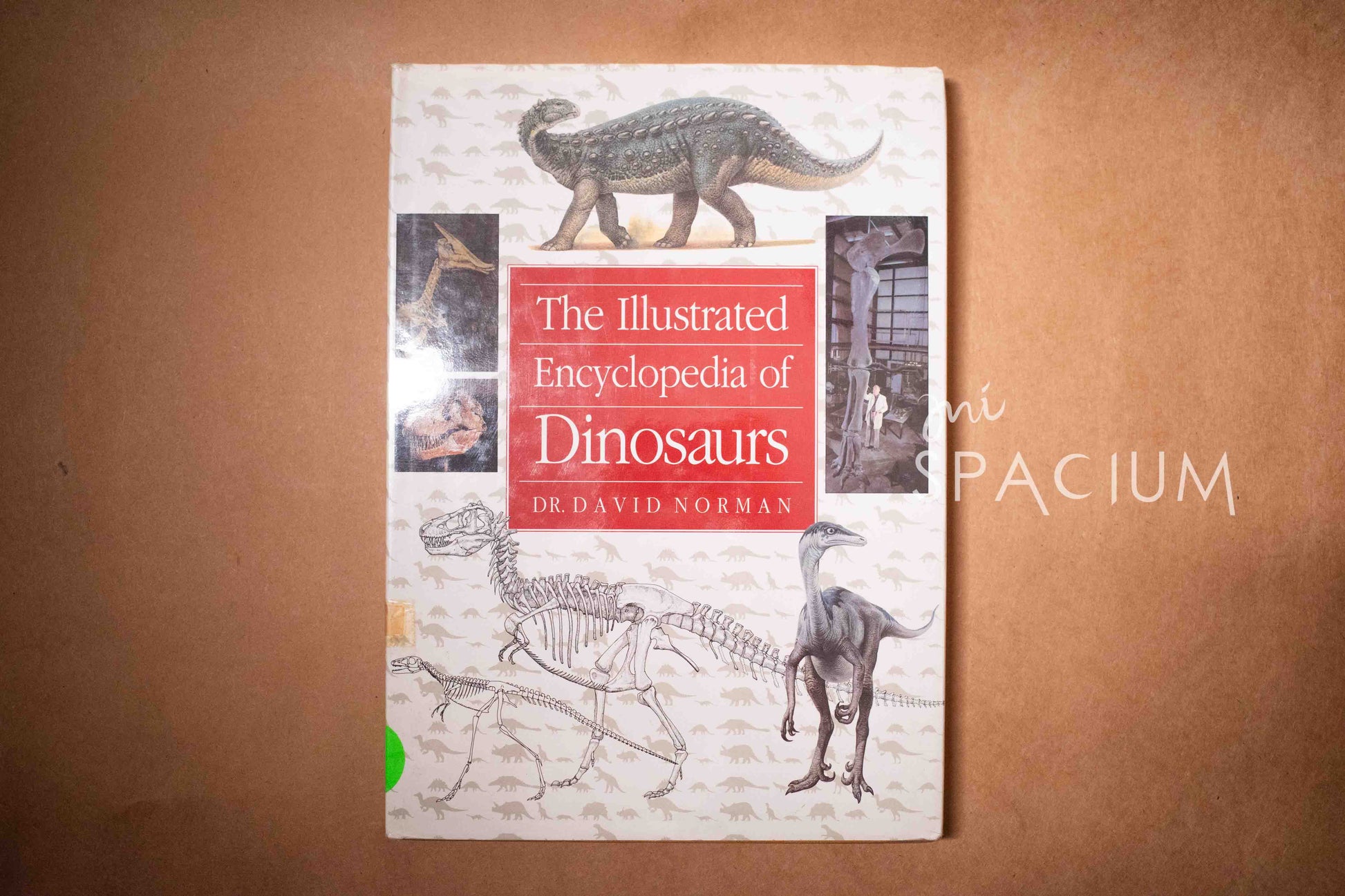 The Illustrated Encyckopedia of Dinosaurs - Mi Spacium Design Studio - 其他 Others
